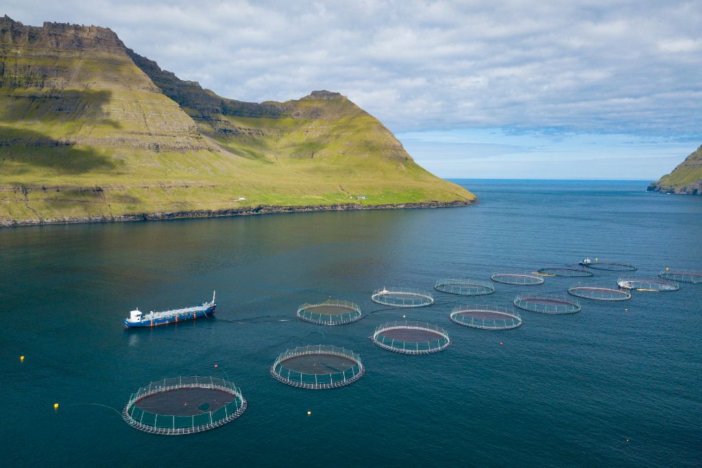 fish farm aquaculture